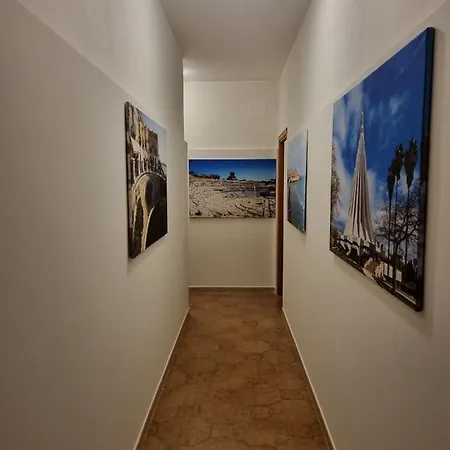 Pina Arenella *